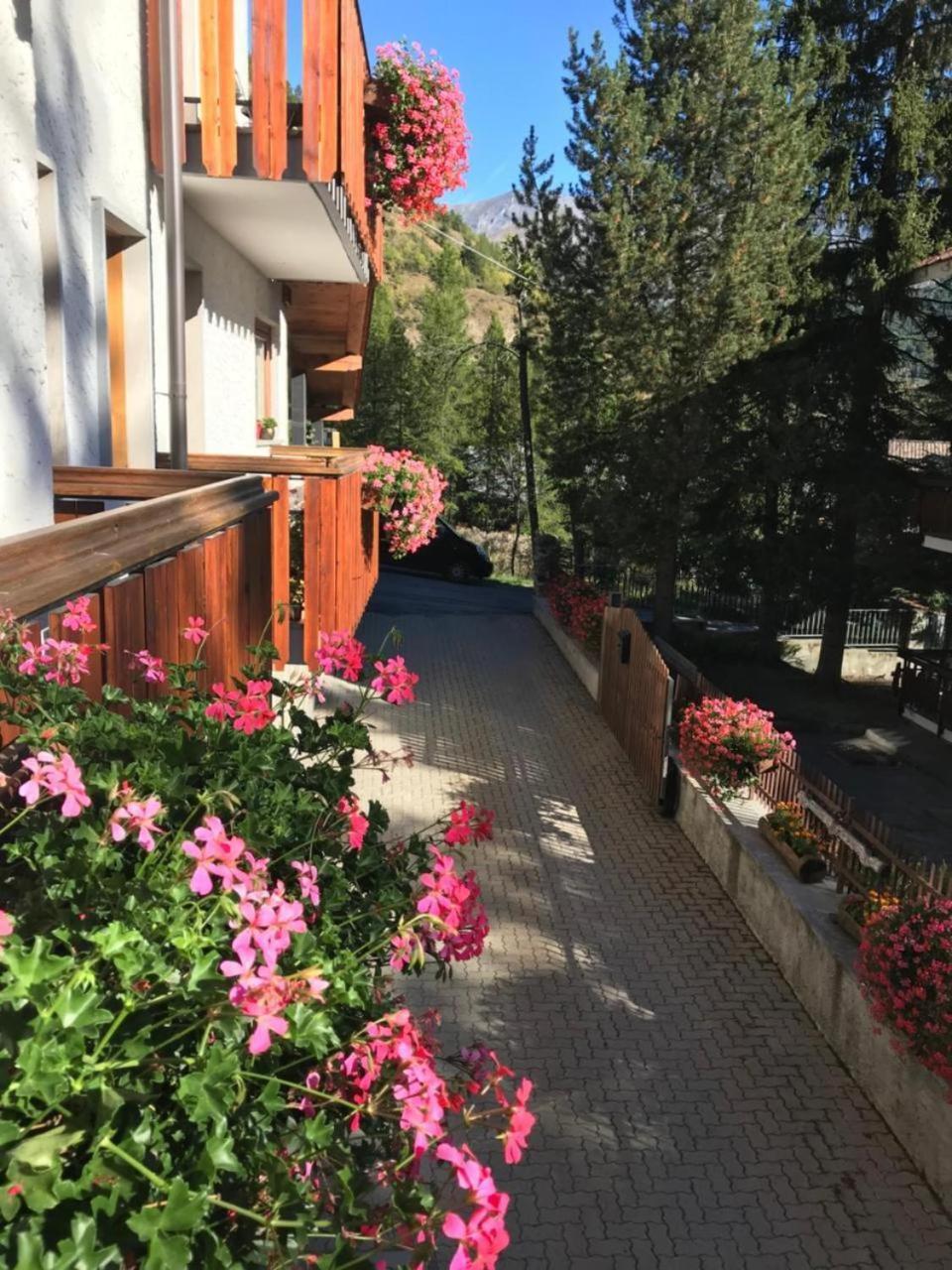 Hotel La Nigritella バルドネッキア エクステリア 写真